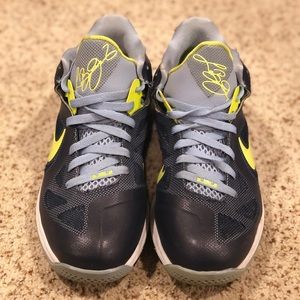 LeBron 9 low